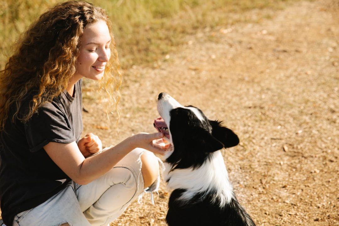 hond aaien